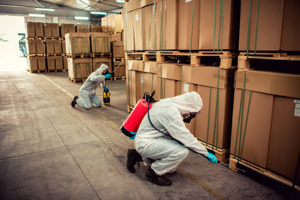 Best Pest Control for Homes  in Cudjoe Key, FL