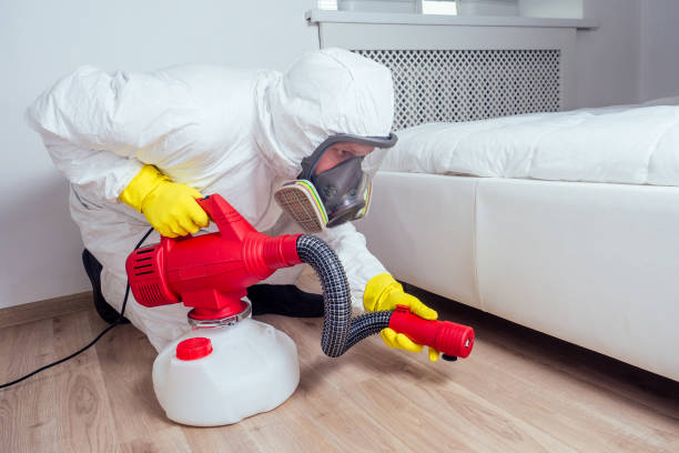 Best Pest Removal Services  in Cudjoe Key, FL