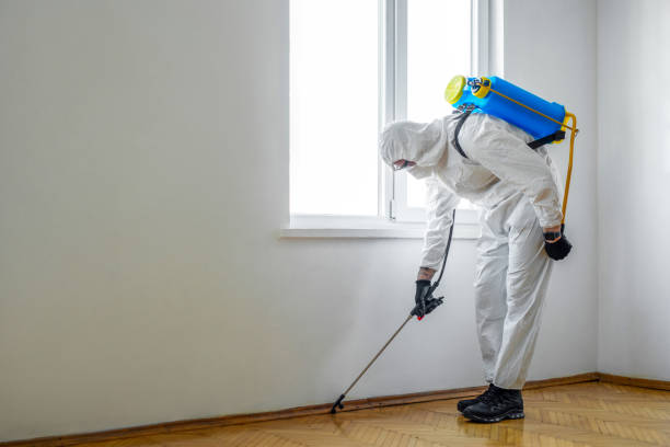 Best Pest Prevention Services  in Cudjoe Key, FL